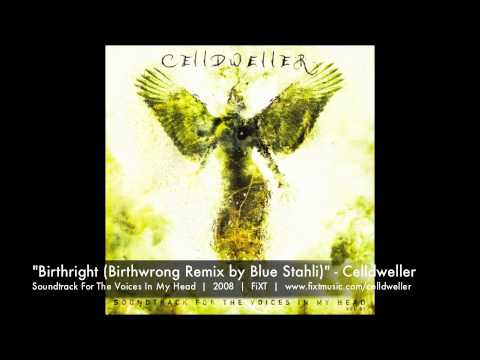 Video thumbnail for Birthright [Birthwrong Remix by Blue Stahli]