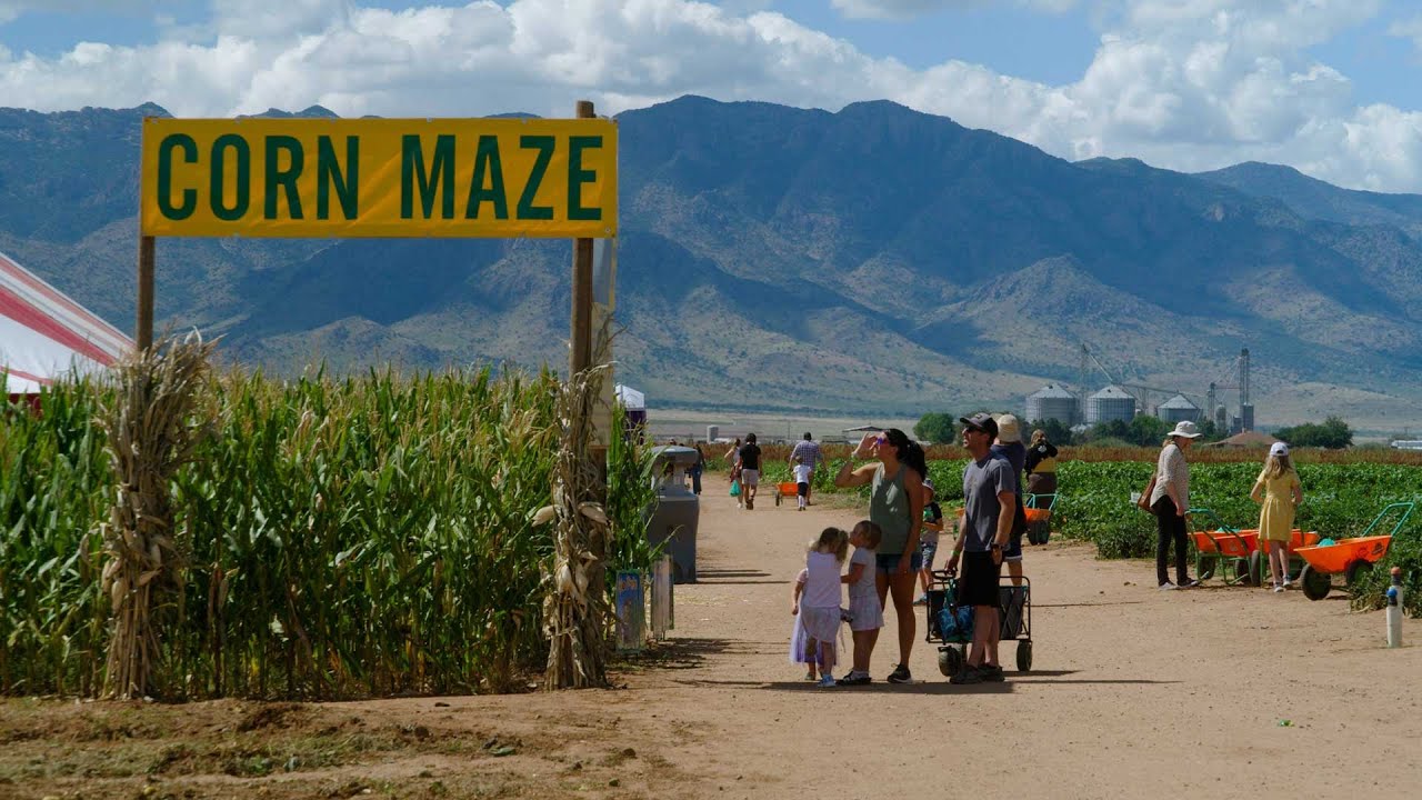 Apple Annie’s Corn Maze