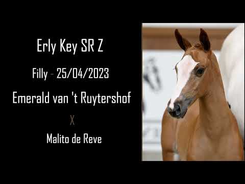 Erly Key SR Z