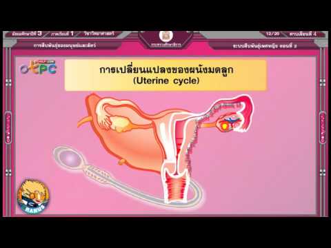 Exciter สำหรับผู้หญิงในร้านขายยาในยูเครน 1m แรง homeopathy