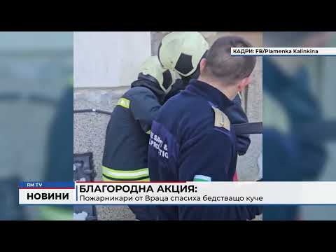 Благородна акция: Пожарникари от Враца спасиха бедстващо куче