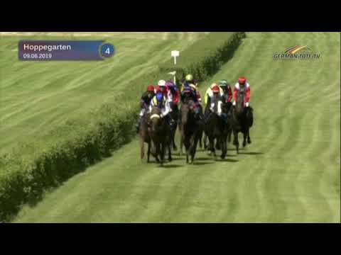 Auktionsrennen Hoppegarten - Auktionsrennen  2019