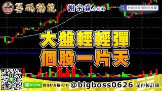 【大戶羅盤籌碼動能】 #謝宗霖1203，大盤輕輕彈 個股一片天 (圖)