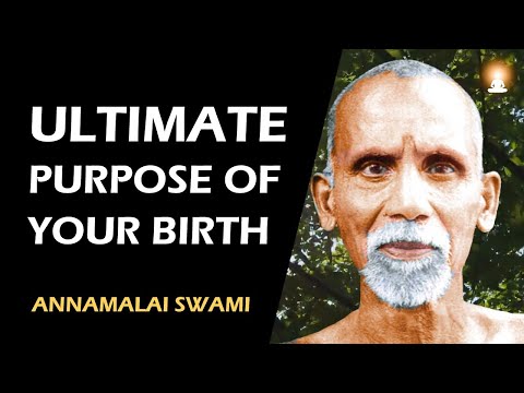 Why Everyone is Continually Suffering? | Annamalai Swami