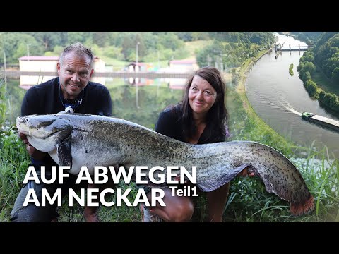 Auf Abwegen am Neckar - Teil 1 | Waller im Fluss 🎣 | Neckar-Urgestein Patrik Pammer | P.R. Baits