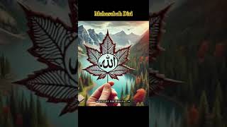 Download lagu Sifat Manusia Atas segala pemberian Allah Swt#sıfat #muhasabahdiri #fyp #berkah #ustadzadihidayat mp3 Download lagu Sifat Manusia Atas segala pemberian Allah Swt#sıfat #muhasabahdiri #fyp #berkah #ustadzadihidayat mp3
