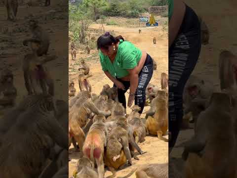 7 July 2026