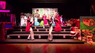 spectacle de flamenco 31