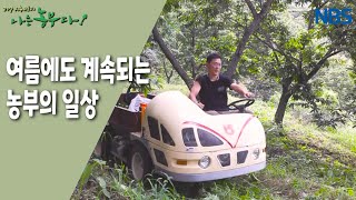 [평소리 마을, 동군이 돌아왔다] 여름에도 계속되는 농부의 일상