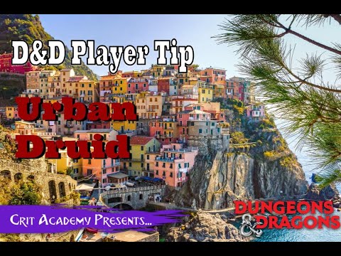 D&D Player Tip | Urban Druid  | Crit Academy Podcast