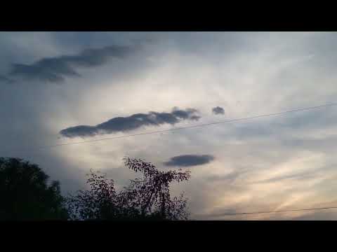 LAGUNA PAIVA SANTA FE avistamiento