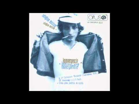 Marián Varga - Concerto in D