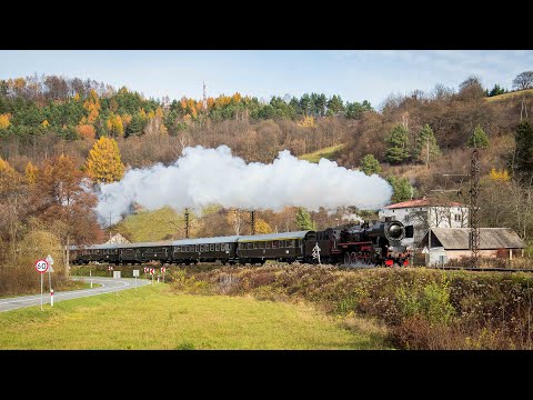 Ty2-911 z Pociągiem Wolności 2022 | Parowozem Doliną Popradu do Krynicy-Zdrój