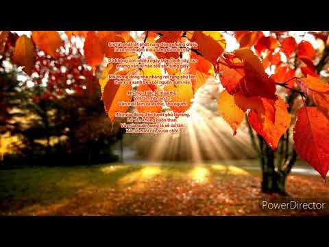 Vô tư như những chiếc lá mùa thu - Hoàng Minh Ngọ