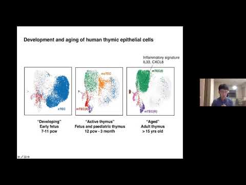 HCA Meeting Asia 2020: Co-current 2-2c - Single cell atlas of human thymus and T cell development