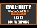Thumbnail for Skyes Black Ops (BO1) Weapons