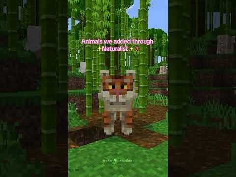 Vanilla Minecraft Animals VS Naturalist