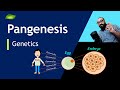 Theory of Pangenesis | Gemmules | Transmission of Characters | Basic Science Series