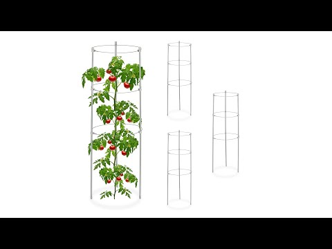 Relaxdays Tomatensteun Set Van 4 – 60 Cm Hoog – 3 Verstelbare Ringen – Metaal/kunststof – Voor Tomaten, Paprika’s En Klimplanten – Inklapbaar