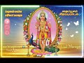 தைப்பூசம் முருகன் சிறந்த எக்கோ பாடல்