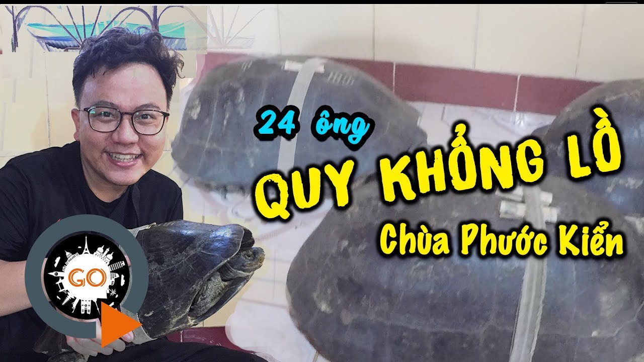 Hãy quên lá Sen cõng người Chùa Phước Kiển - Huyền bí 24 ông Quy Khổng Lồ nghe lời thầy | Quang Chau