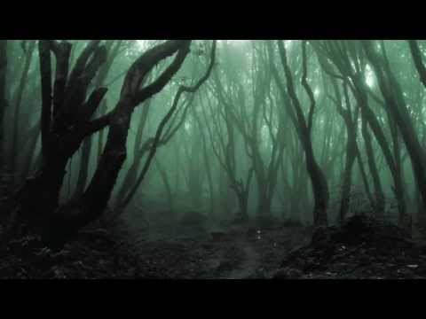 Vermillion Pt.2 Cover by Scream In Peace