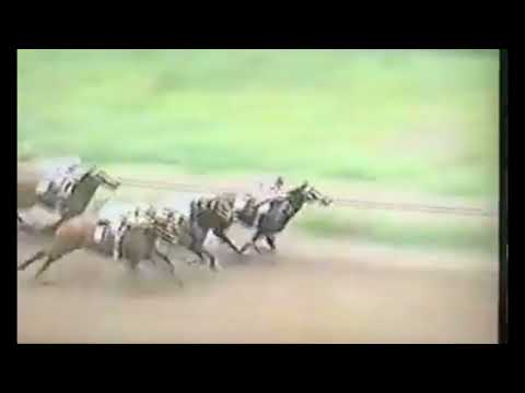 By Pass (PAN) - Clásico Triple Corona Nacional 1989