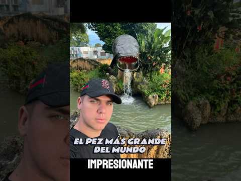 ¡Encontré el pez más grande del mundo en Caquetá!🐟