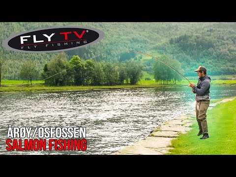FLY TV - Strategien fürs Lachsangeln in Aroy und Osfossen (Neteland Brüder)