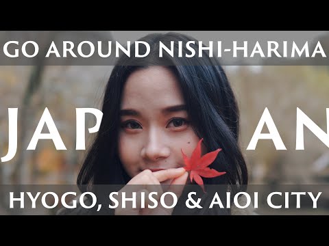 Japanese woman  Autumn leaves & Sake tour in Japan［Japan Travel Guide］