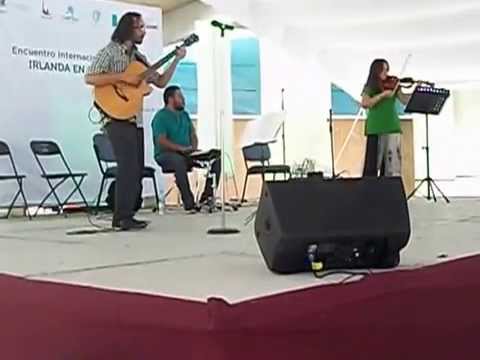 Trébol de Santiago petit