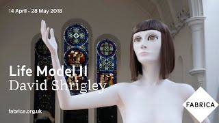 Life Model II (2018)