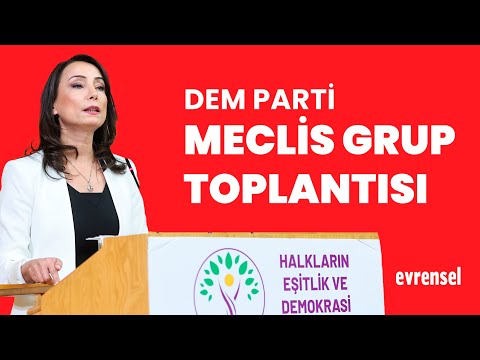 Tülay Hatimoğulları: NATO zirvesi öncesi gözaltılar hak ve özgürlüklere saldırıdır