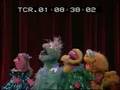 Sesame St Im A Girl Song In Irish