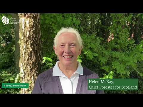 Scotland's Climate Week 2022 - Helen McKay, Chief Forester for Scotland
