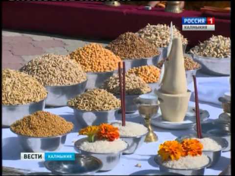 Вести «Калмыкия»: вечерний выпуск 24.09.2015