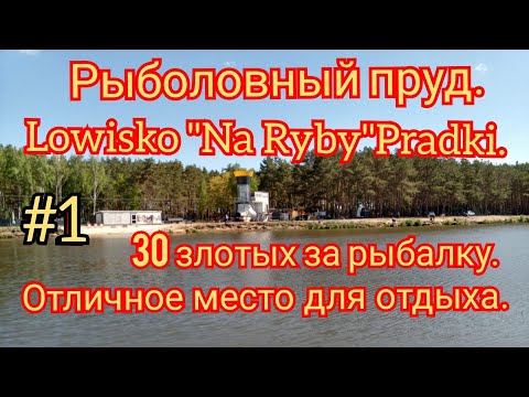 РЫБАЛКА В ПОЛЬШЕ. РАЗВЕДКА РЫБОЛОВНОГО ПЛАТНОГО ПРУДА. LOWISKO "NA RYBY" PRADKI.