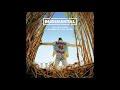 Rudimental These Days Ft Jess Glynne Macklemore Dan Caplen AUDIO