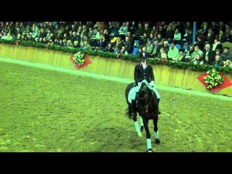Bon Bravour & Tom Franckx Vechta 2012 Kathmann Stallion Show