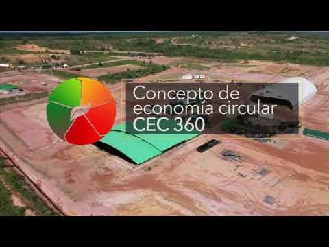 Ganador