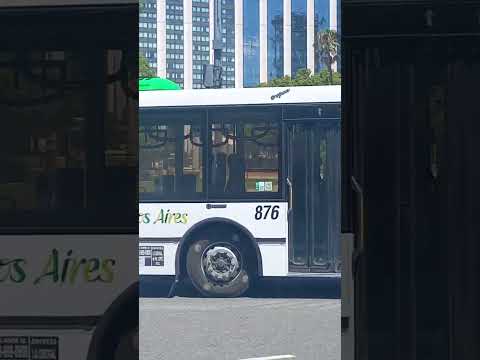 Linea 197 int. 876 (Italbus Tropea)(Clip)