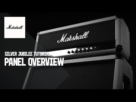 Silver Jubilee Tutorials | Panel Overview