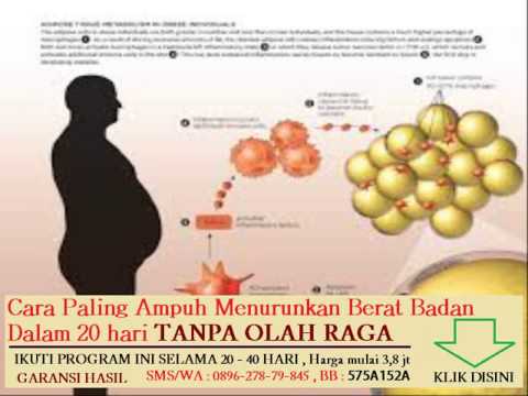 Latihan pernapasan untuk melangsingkan nama Menurunkan berat badan teknik modern