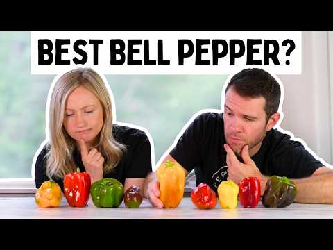 Which Is The BEST Bell Pepper? Comparing 10 Different Varieties - Pepper Geek