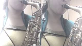 Download lagu アイネクライネナハトムジークより第一番　アルトサックスデュオで多重録音してみた mp3