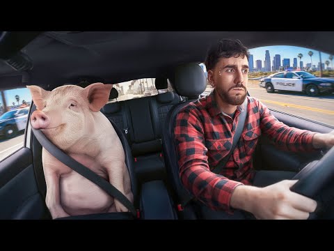 I'M BREAKING THE WORST LAWS IN THE USA (yes, I'm a pig)