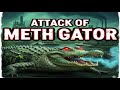 New Hollywood Movie In Hindi Attack Of The Meth Gator