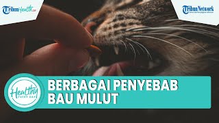 Berbagai Penyebab Bau Mulut dari Faktor Fisiologis hingga Patologis