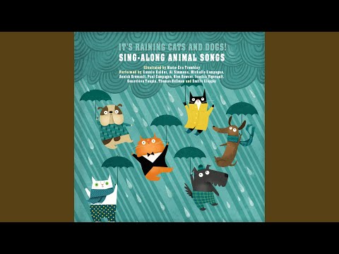 Lullaby for My Sleepy Dog