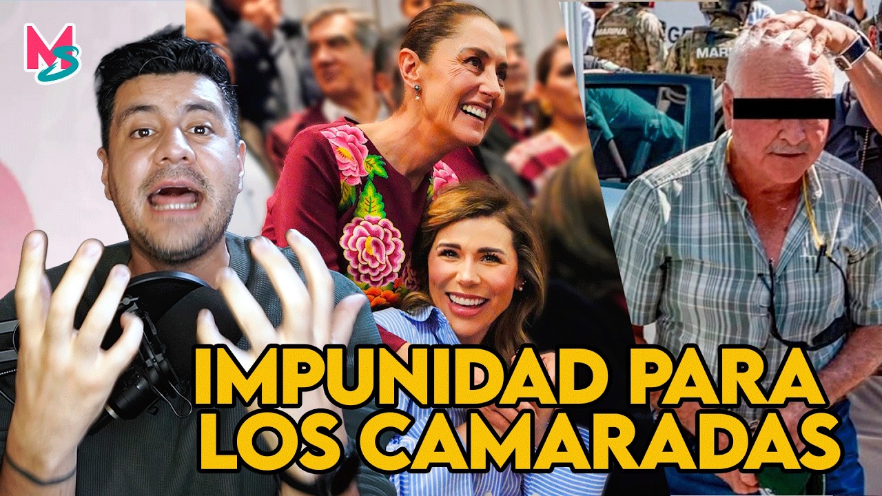 El Regalo de la Impunidad para los Fieles de MORENA - Maldita Sea